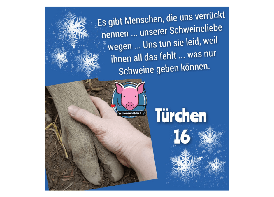 Schweineleben e. V. - Adventskalender 2021