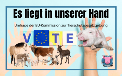 WICHTIG! Sagt der EU Eure Meinung – Überarbeitung der Tierschutzgesetzgebung der EU