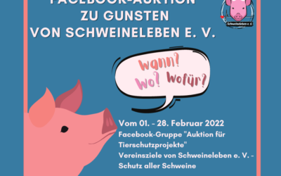 Facebook-Auktion zugunsten von Schweineleben e. V.