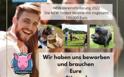 Schweineleben e. V. hat sich beim Fördergeldwettbewerb der NEW AG beworben