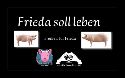 Frieda soll leben – Freiheit für Frieda