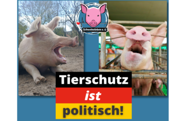 Tierschutz ist politisch