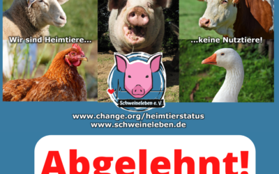 Heimtierstatus für Schweine? Abgelehnt!