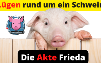 Ein Schwein namens Frieda und die Lügen der Menschen