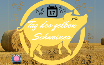 Yellow Pig Day – Tag des gelben Schweines