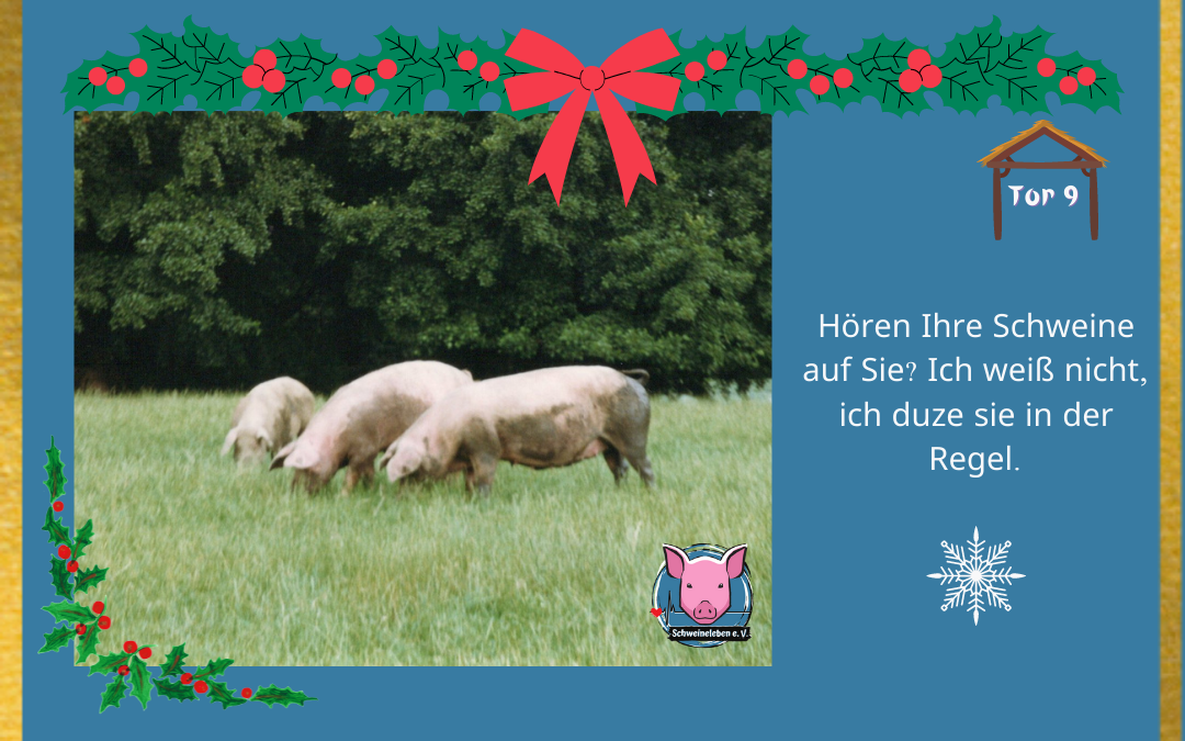 Schweineleben Adventskalender Tor 9