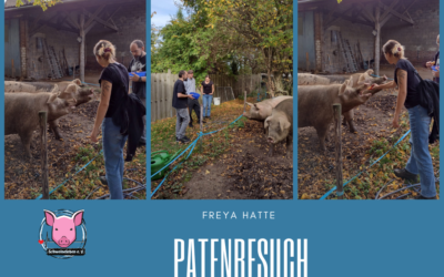 Patenbesuch für Freya am 29.10.2022