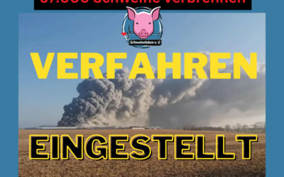 Die Schweine von Alt Tellin – Verfahren eingestellt