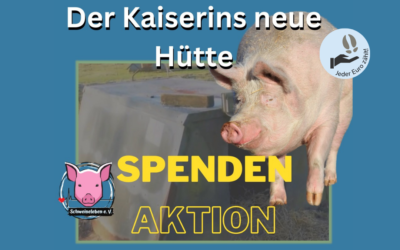 Spendenaktion – Der Kaiserins Sissis neue Hütte