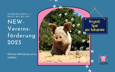 NEW-Vereinsförderung 2023 – Schweineleben e. V. ist dabei