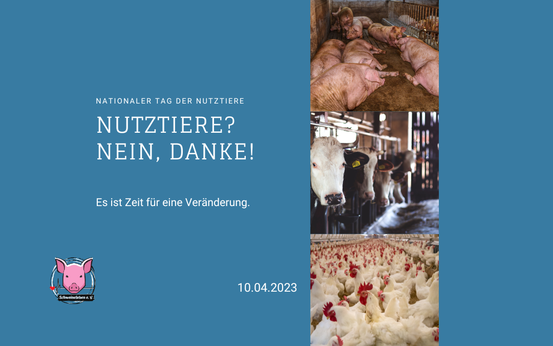 Tag der Nutztiere USA