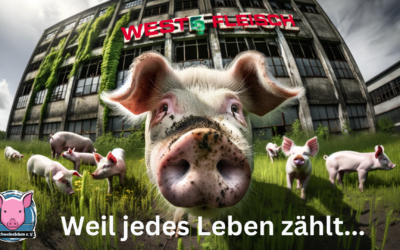 Ein Tagtraum für Schweine