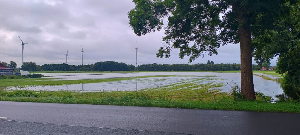 Sommer in Ostfriesland?