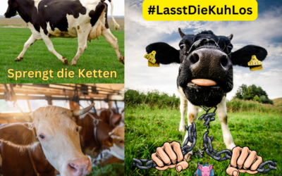 #LasstDieKuhLos – Bundesweiter Aktionstag gegen die Anbindehaltung – Deutsche Tierlobby